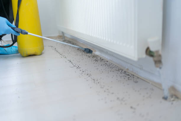 Pest Prevention Services in Jackson, WI